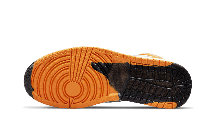Overkicks - Air Jordan 1 Retro High Element Gore-Tex Light Curry (DB2889-700) - par completo