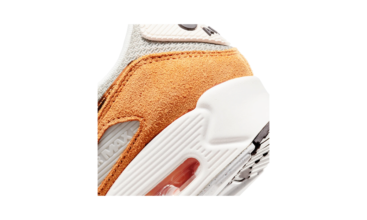 Overkicks - Nike Air Max 90 Leopard (2022) (DQ9316-001) - detalle