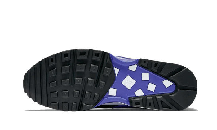Overkicks - Nike Air Max BW White Persian Violet (DN4113-101) - par completo