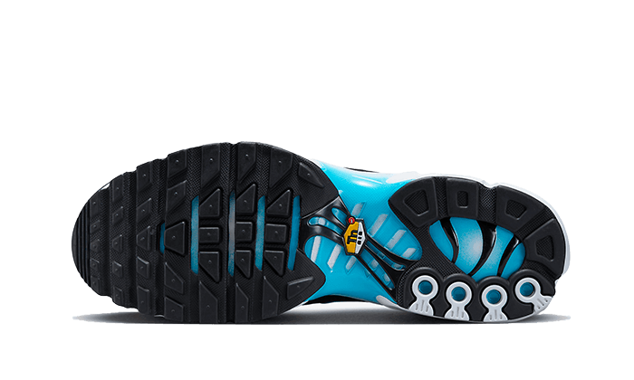 Overkicks - Nike Air Max Plus Baltic Blue (FD9751-100) - par completo
