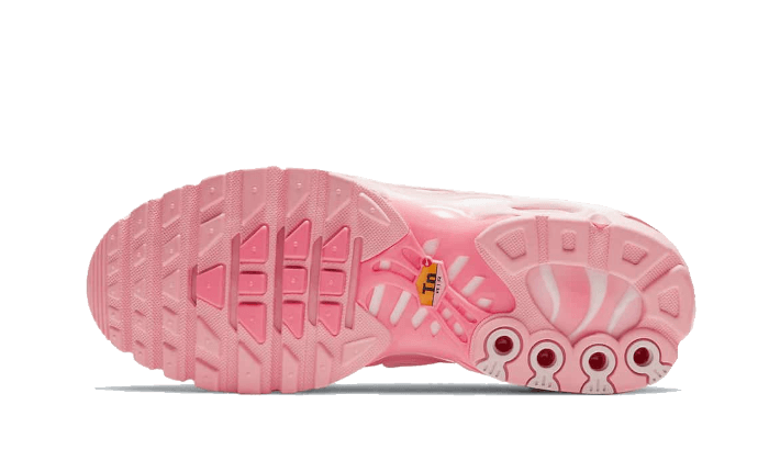 Overkicks - Nike Air Max Plus City Special ATL (Womens) (DH0155-600) - par completo
