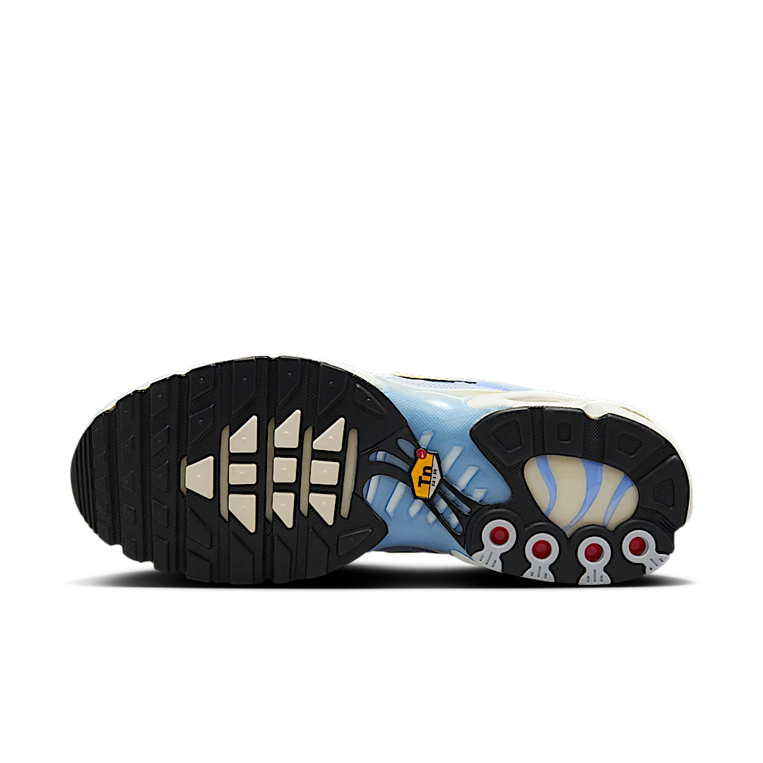 Overkicks - Nike Air Max Plus Daybreak (DZ3670-004) - detalle suela