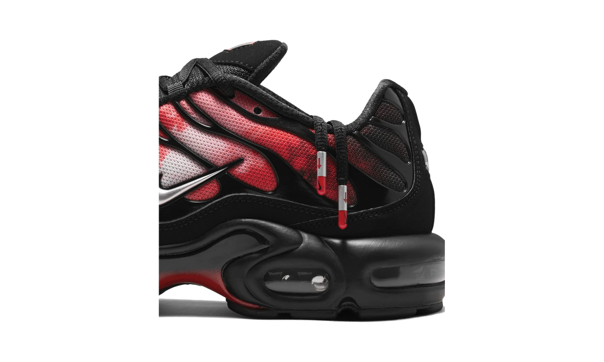Overkicks - Nike Air Max Plus Flairemax (IR1998-001) - detalle