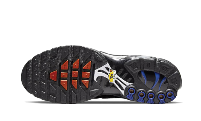 Overkicks - Nike Air Max Plus France (DV3194-001) - par completo