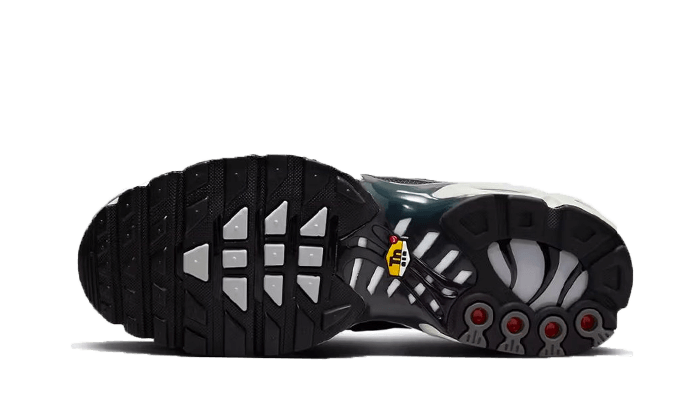Overkicks - Nike Air Max Plus Greyscale Cool Grey (DZ2655-001) - par completo