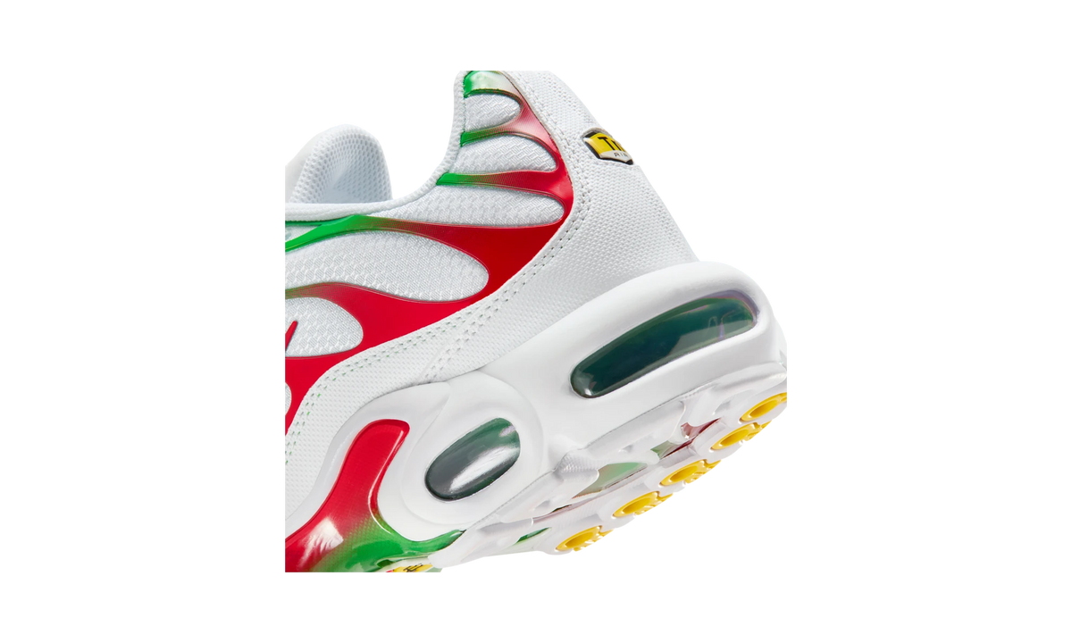 Overkicks - Nike Air Max Plus Italy (DM0032-108) - detalle
