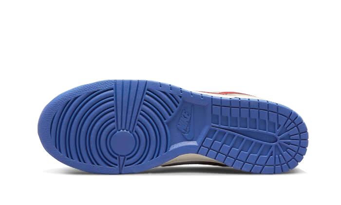 Overkicks - Nike Dunk Low Light Iron Ore Red Blue (DV3497-001) - par completo