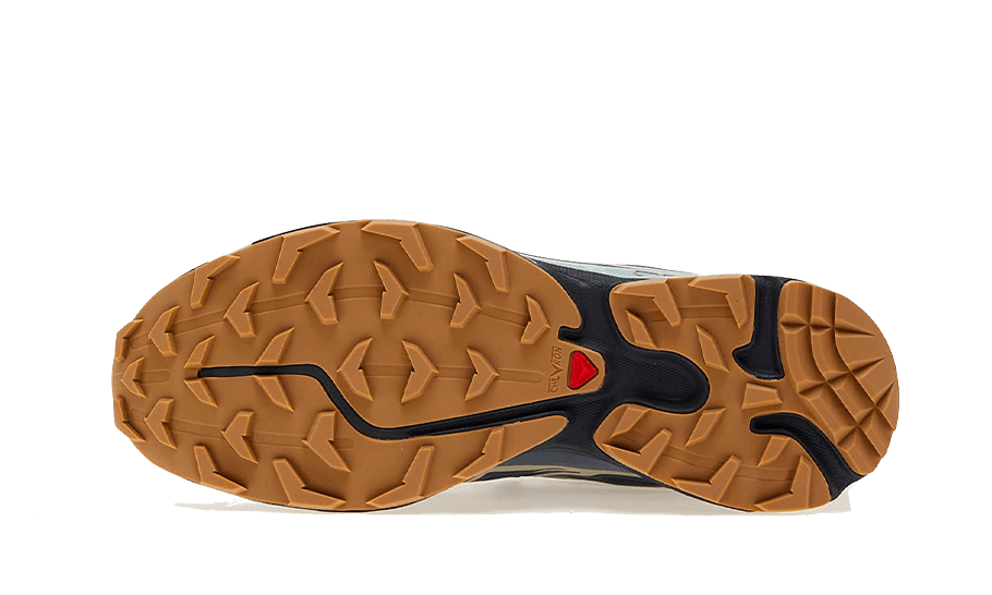 Overkicks - Salomon Advanced XT-6 Gore-Tex Carbon Bering Sea (L47291800) - par completo