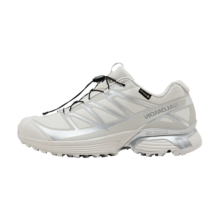 Overkicks - Salomon XT-Pathway GTX Lunar Rock Alloy (L47730900) - vista lateral