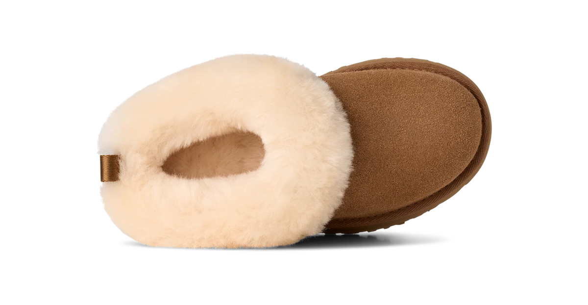 Overkicks - UGG Tazzelle Slipper Chestnut (Kids) (1171198K-CHE) - imagen 6