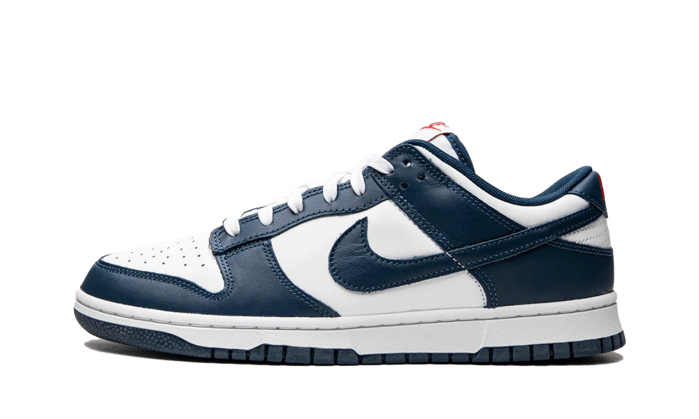 Dunk Low Valerian Blue