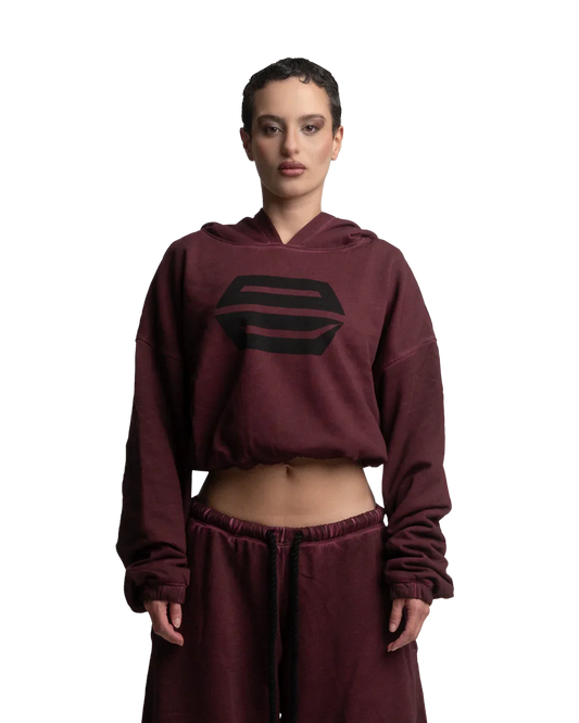 HEAVY-WEIGHT WASHED RED REVERSE LOGO HOODIE