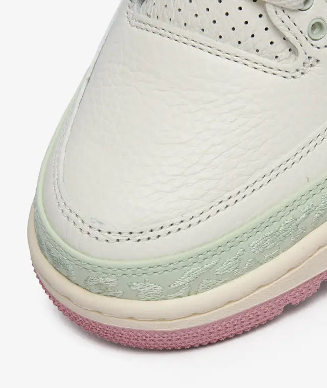 Air Jordan 3 Retro Spring Is In The Air