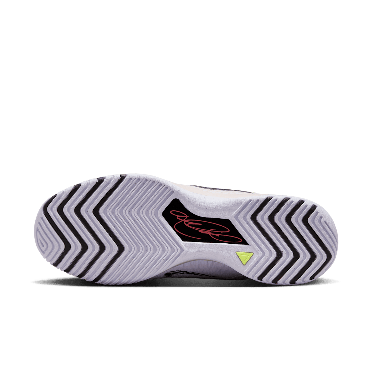 Nike Zoom LeBron NXXT Genisus Platinum Violet 1