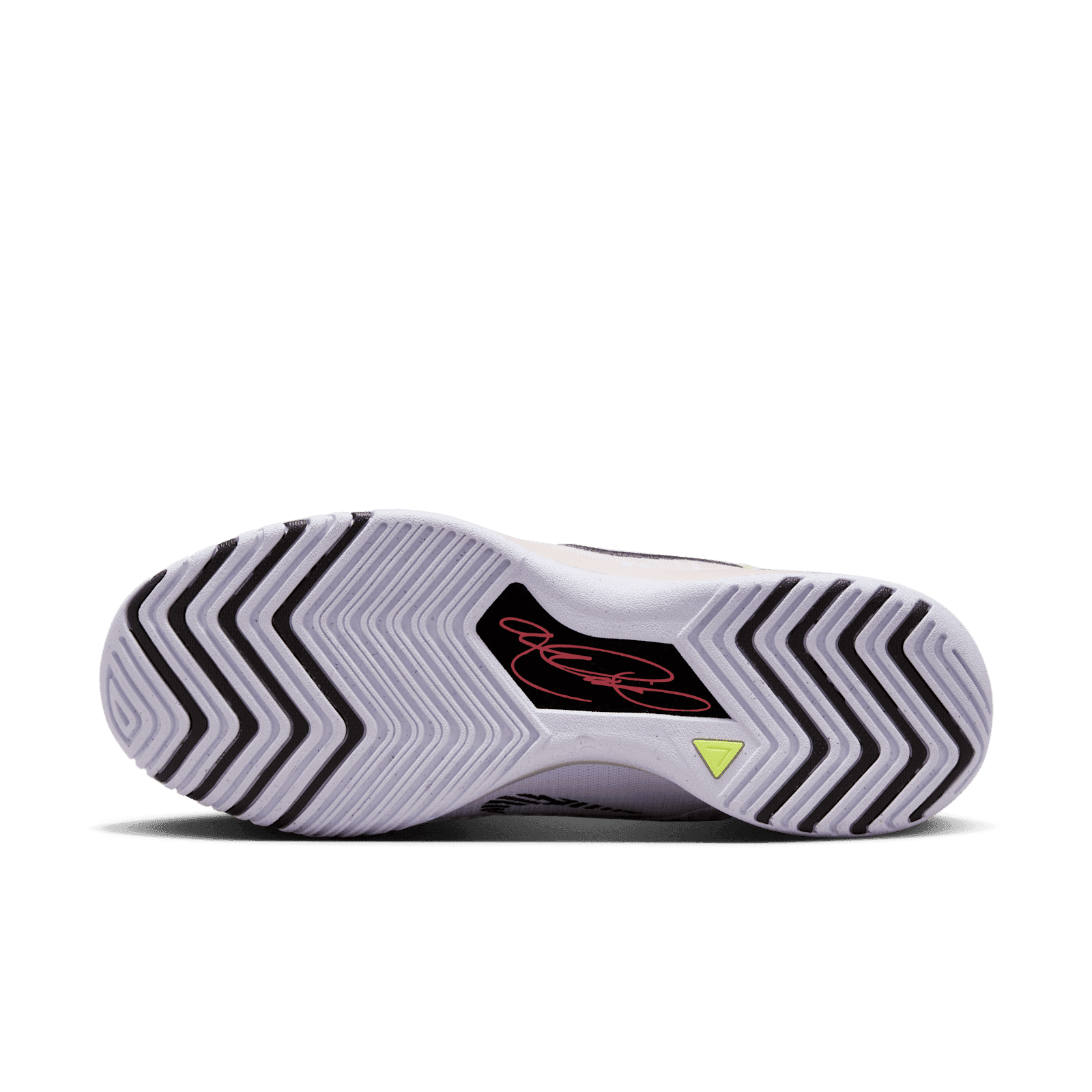 Nike Zoom LeBron NXXT Genisus Platinum Violet 1