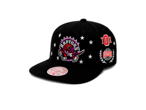 Snapback Raptors Black