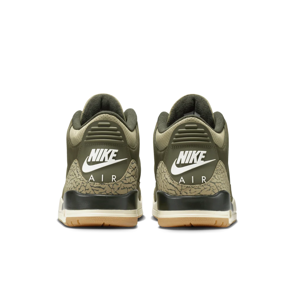 Air Jordan 3 Retro Family Affair