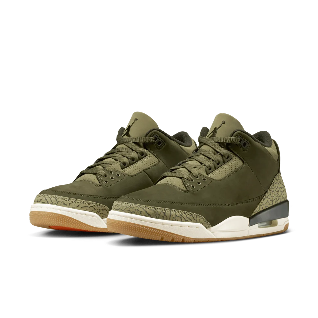 Air Jordan 3 Retro Family Affair