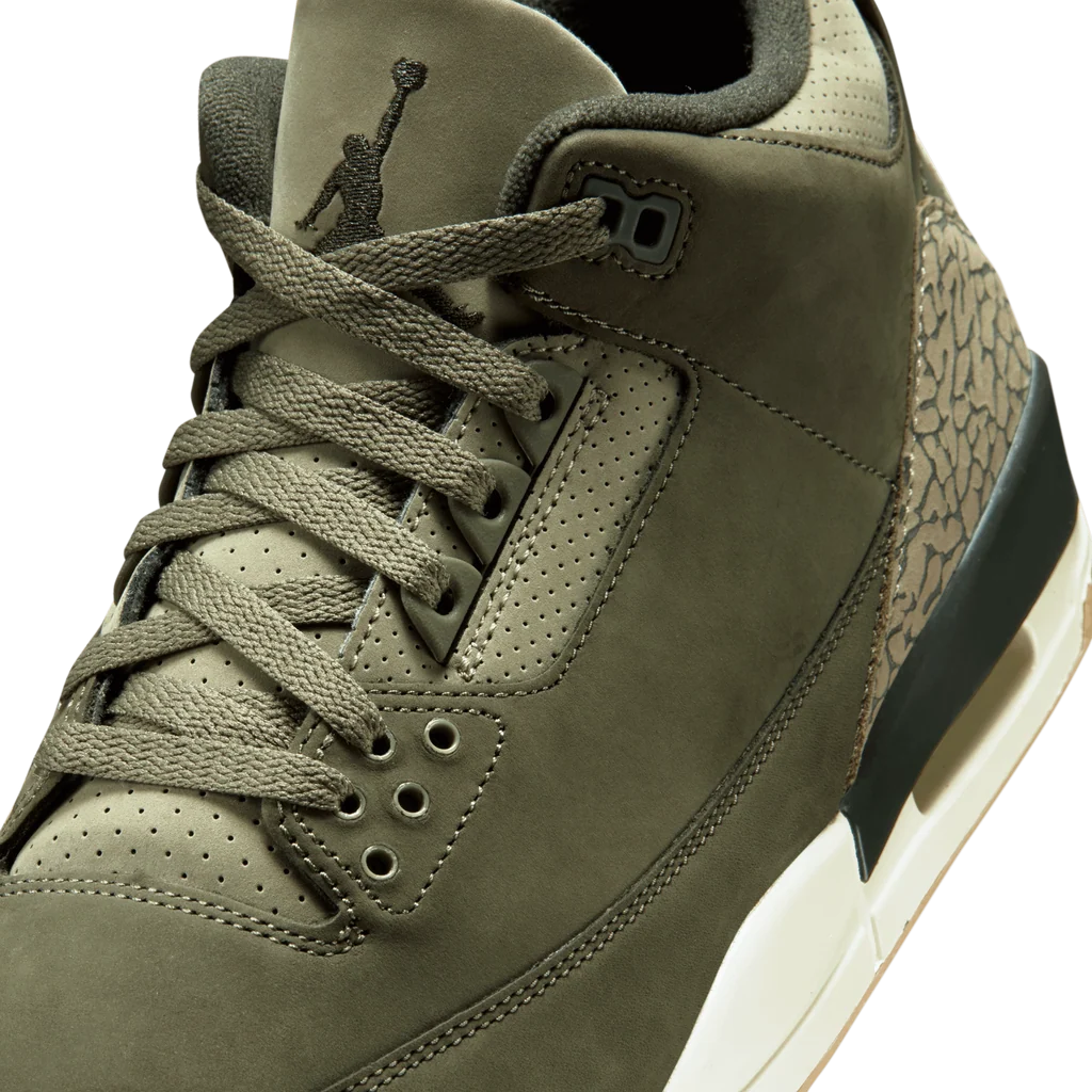Air Jordan 3 Retro Family Affair
