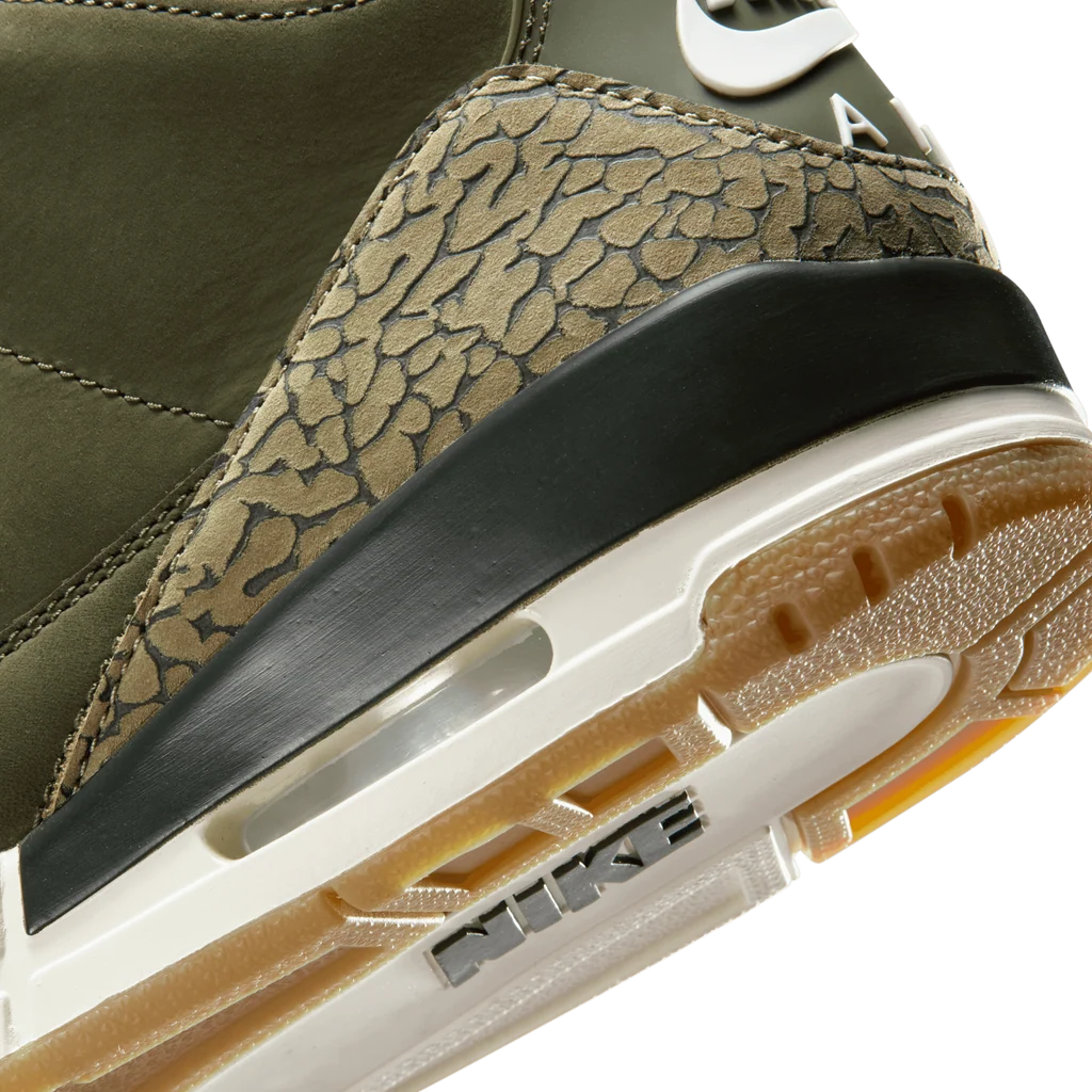 Air Jordan 3 Retro Family Affair
