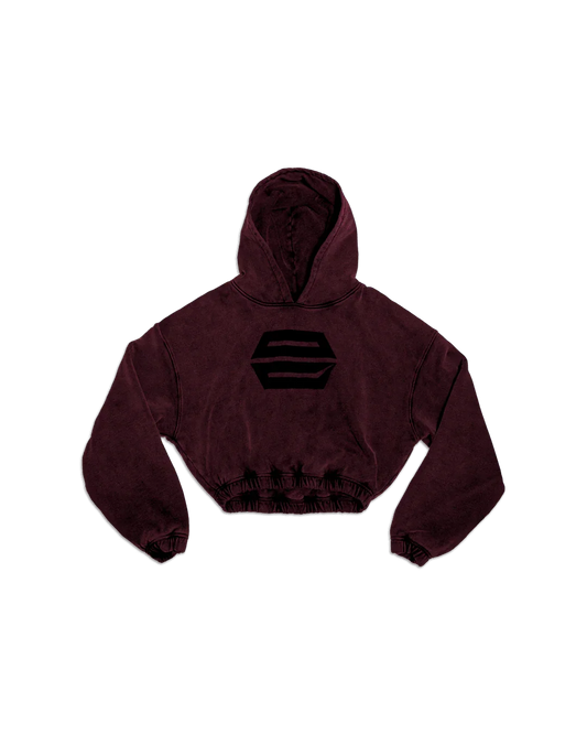 HEAVY-WEIGHT WASHED RED REVERSE LOGO HOODIE