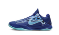 Nike Kobe 5 Protro X-Ray