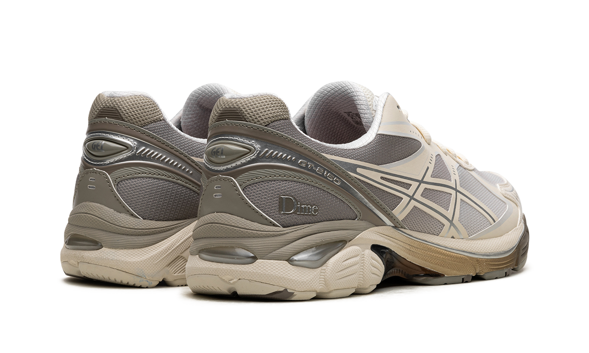Overkicks - ASICS GT-2160 DIME Arctic Wolf (1201A887-100) - par completo