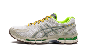 Gel-Kayano 20