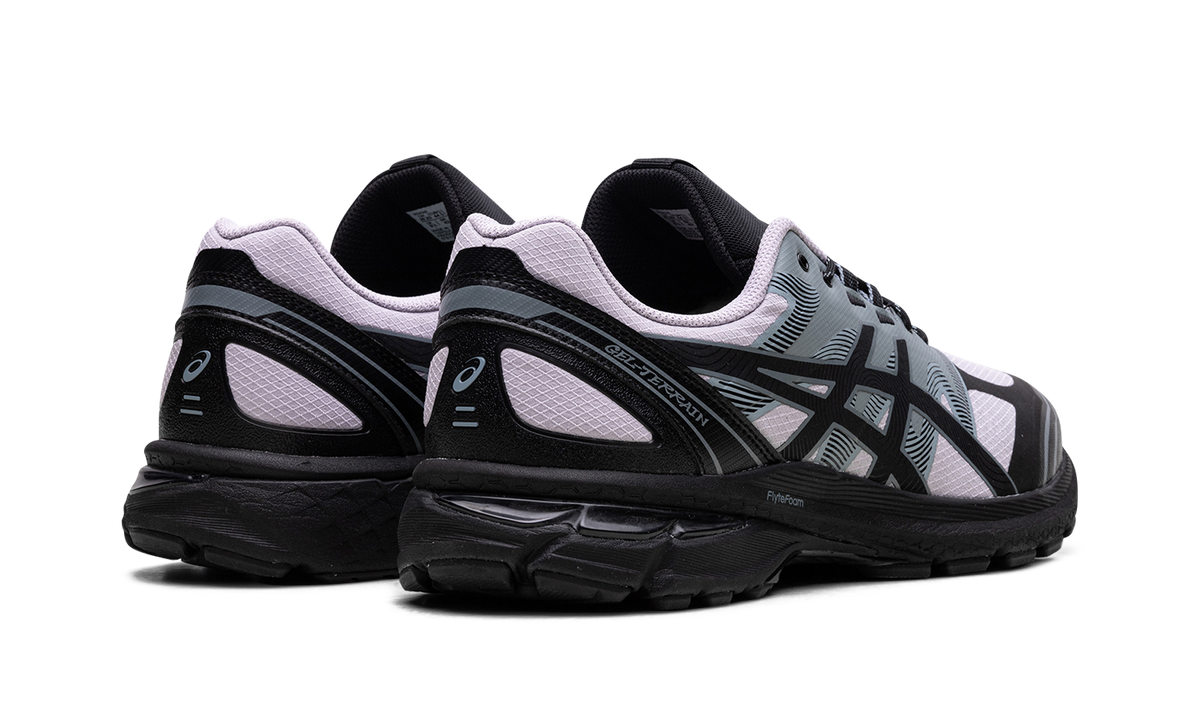 Overkicks - ASICS Gel-Terrain Faded Ash (1203A342-500) - par completo