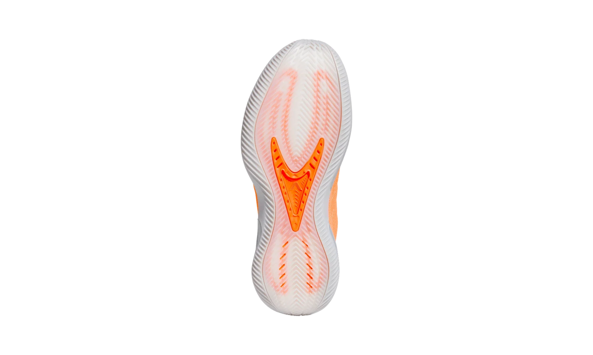 Overkicks - Adidas AE 2 All-Star (KK1390) - detalle talon