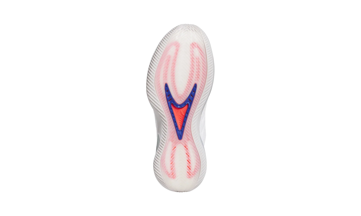 Overkicks - Adidas AE 2 USA (KJ4228) - detalle talon