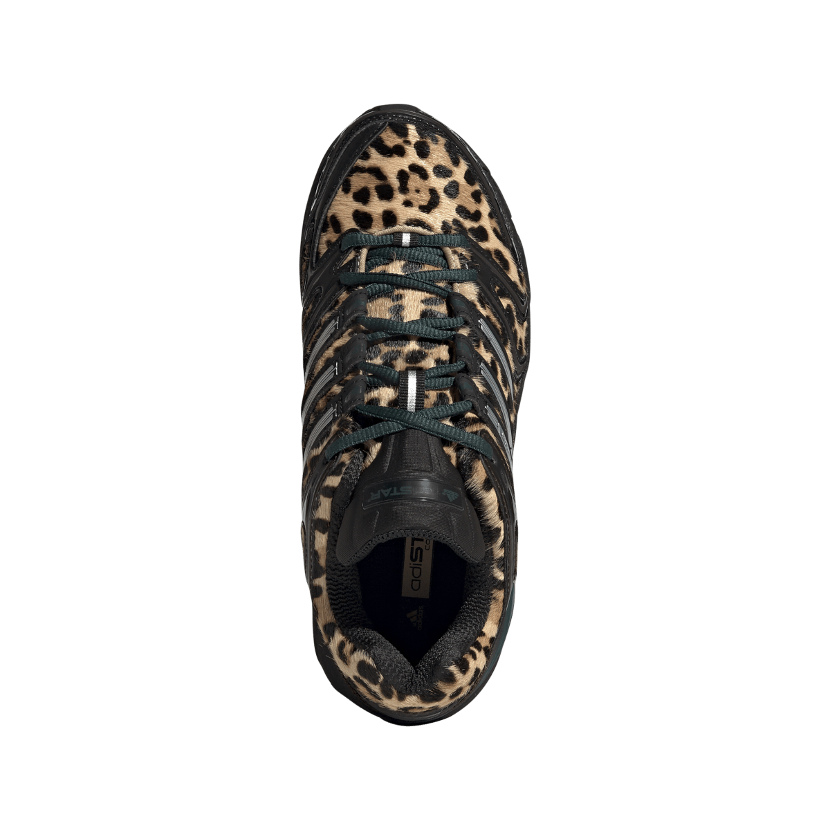 Overkicks - Adidas Adistar Control 5 Leopard Aurora Ivy Black (Womens) (KI4204) - par completo