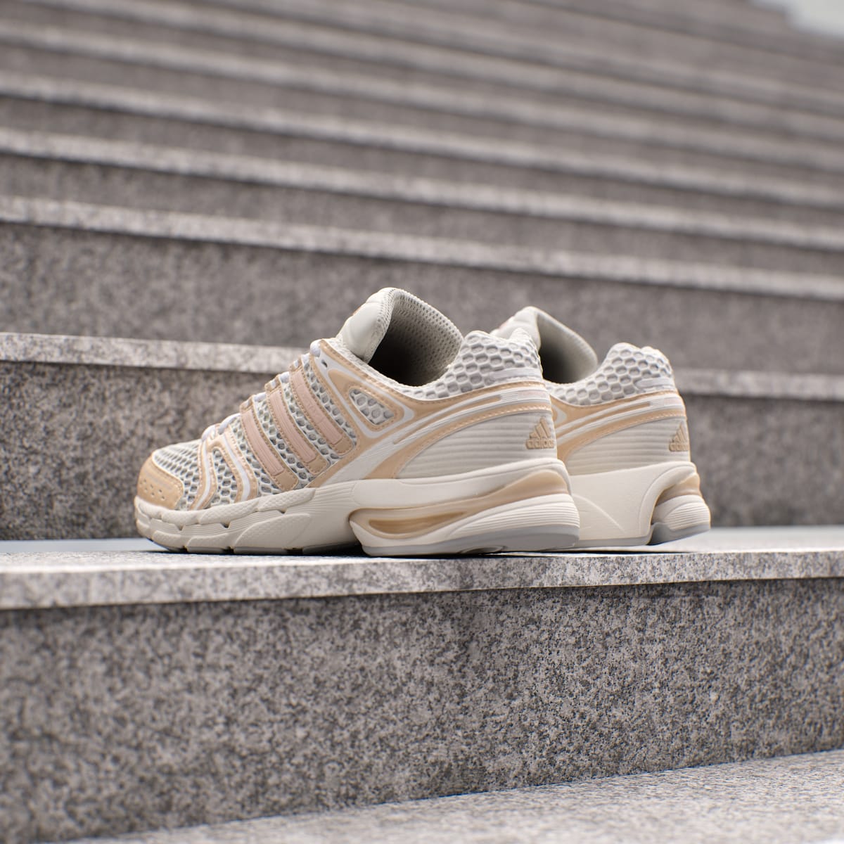 Overkicks - Adidas Adistar Control 5 Off White Beige (Womens) (IH1799) - detalle lateral interior