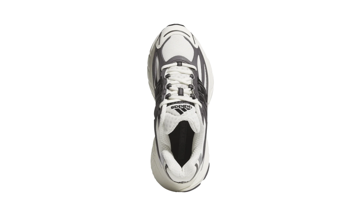 Overkicks - Adidas Adistar XLG 2.0 Grey Strata Off White (KJ7895) - par completo