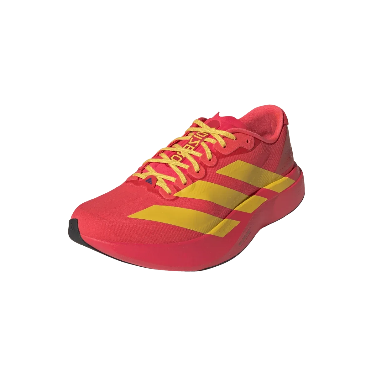 Overkicks - Adidas Adizero Evo SL Lucid Red Bold Gold (JQ4442) - vista trasera