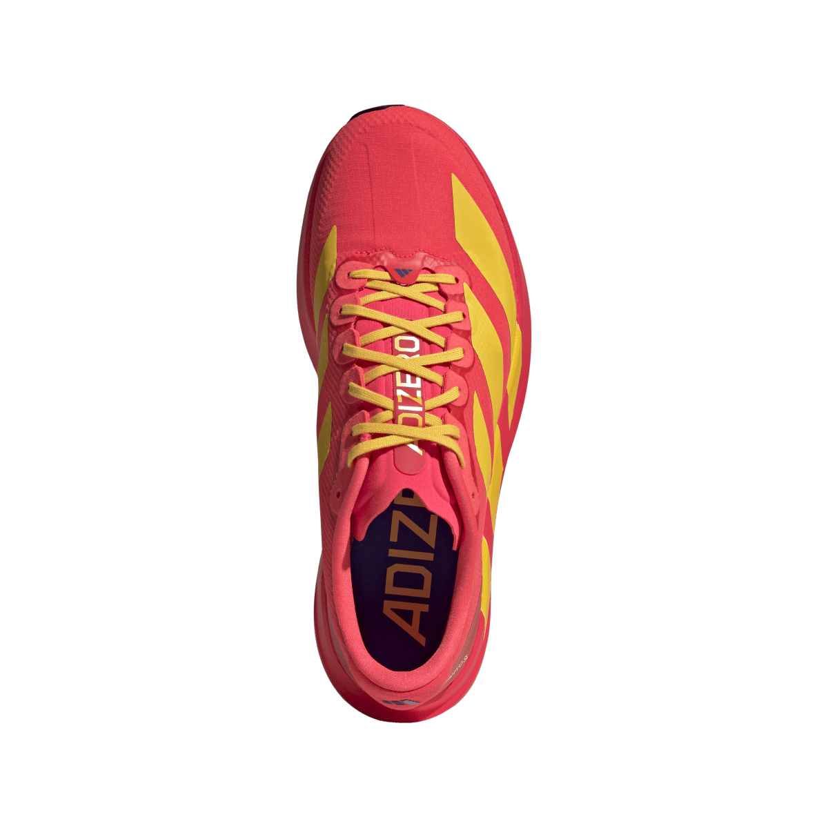 Overkicks - Adidas Adizero Evo SL Lucid Red Bold Gold (JQ4442) - par completo