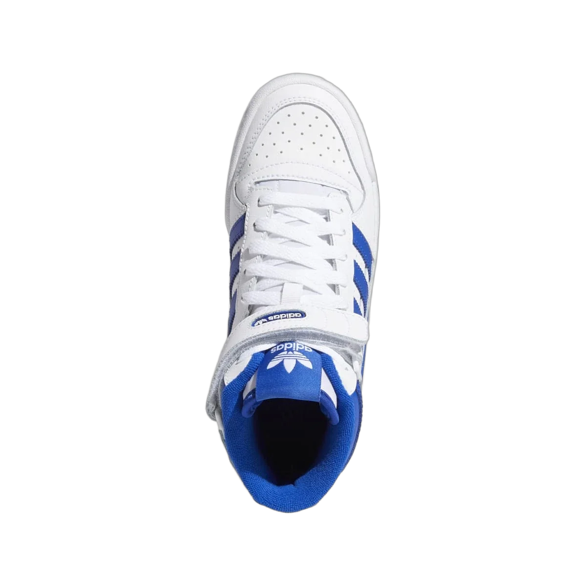 Overkicks - Adidas Forum Cloud White Royal Blue (GS) (FZ2085) - imagen 2