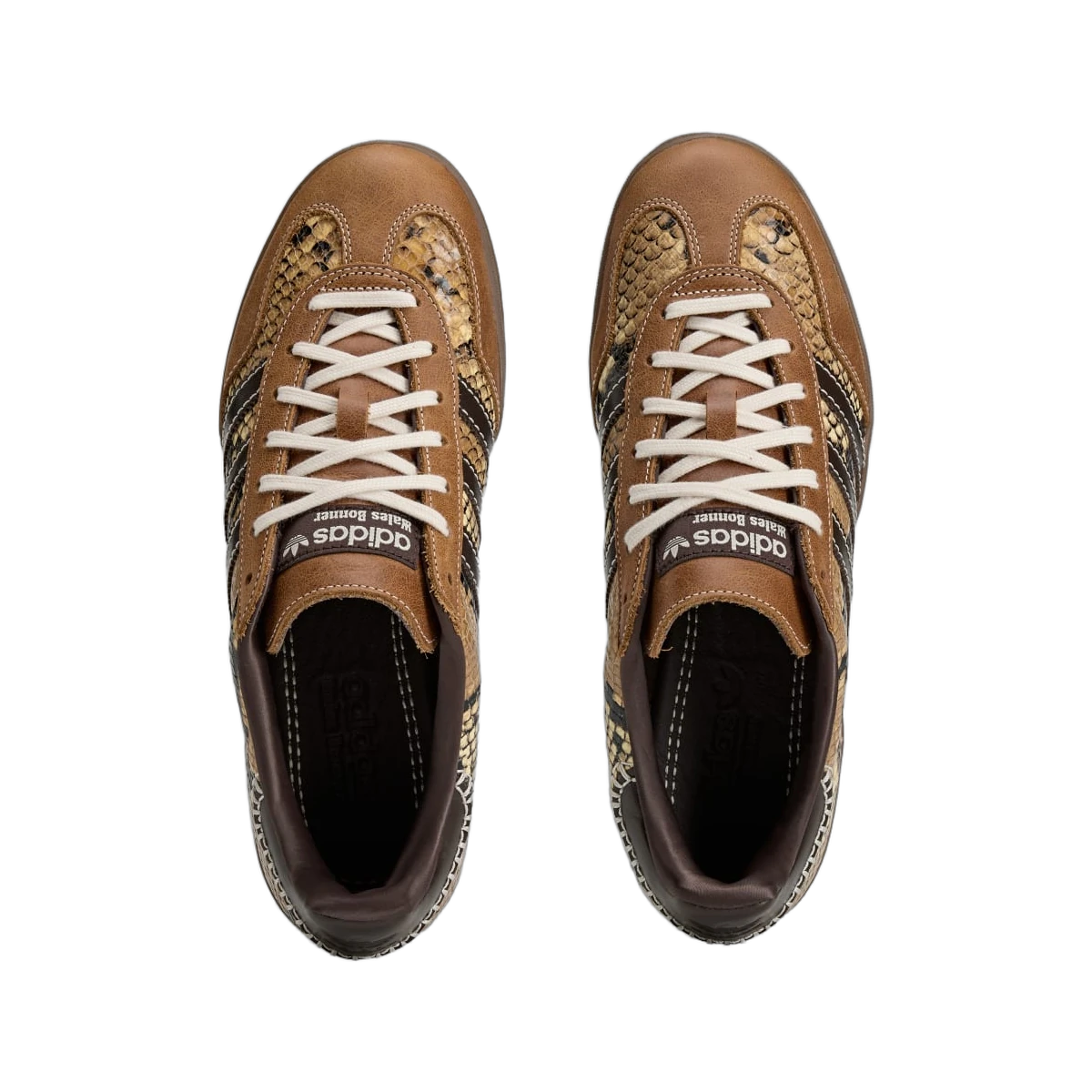 Overkicks - Adidas Gazelle Indoor Wales Bonner Snakeskin (KK3641) - vista trasera