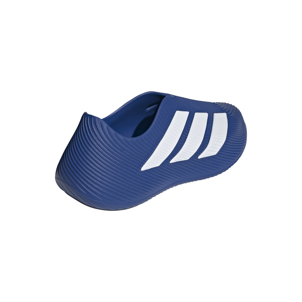 Overkicks - Adidas Purechill Runner Royal Blue White (KI0074) - vista superior