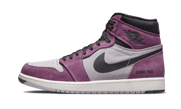Overkicks - Air Jordan 1 High Element Gore-Tex Berry (DB2889-500) - vista lateral