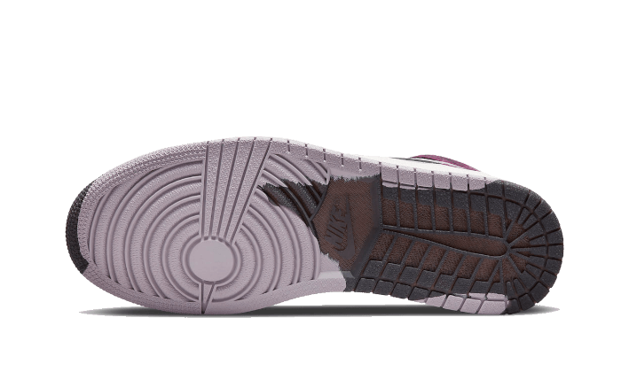 Overkicks - Air Jordan 1 High Element Gore-Tex Berry (DB2889-500) - par completo