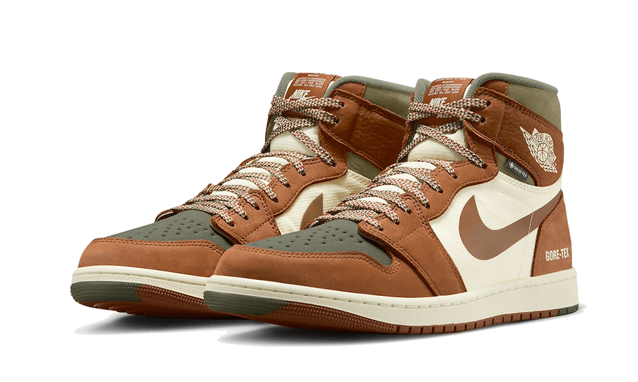 Overkicks - Air Jordan 1 Retro High Element Gore-Tex Legend Coffee (DB2889-102) - par completo