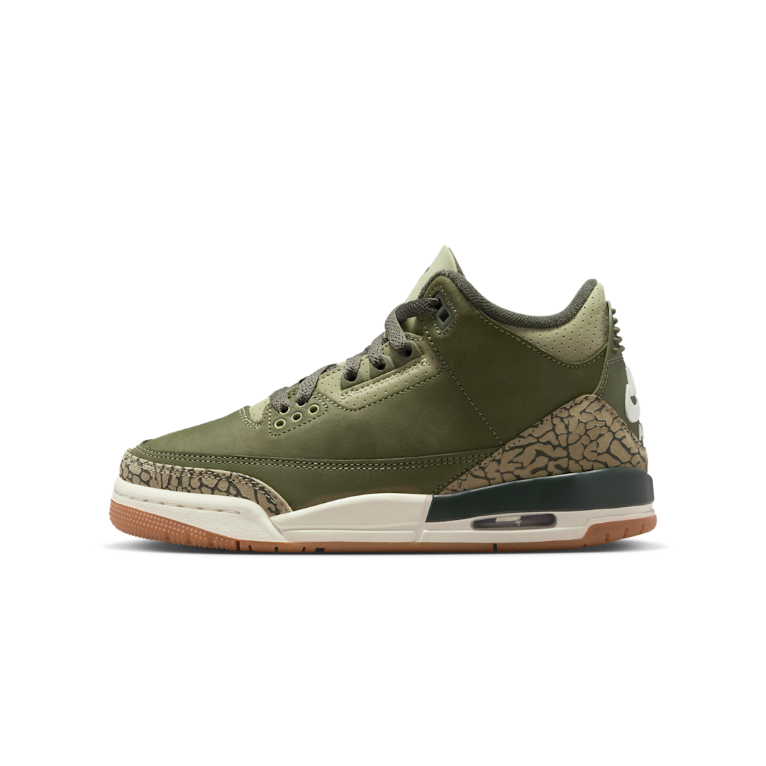 Overkicks - Air Jordan 3 Retro Family Affair (GS) (DM0967-202) - vista lateral