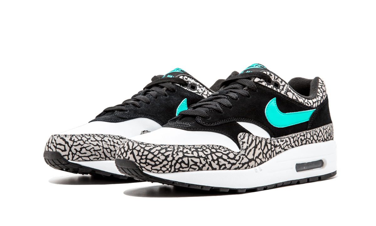 Overkicks - Air Jordan 3 Retro & Nike Air Max 1 atmos Pack (923098-900) - detalle
