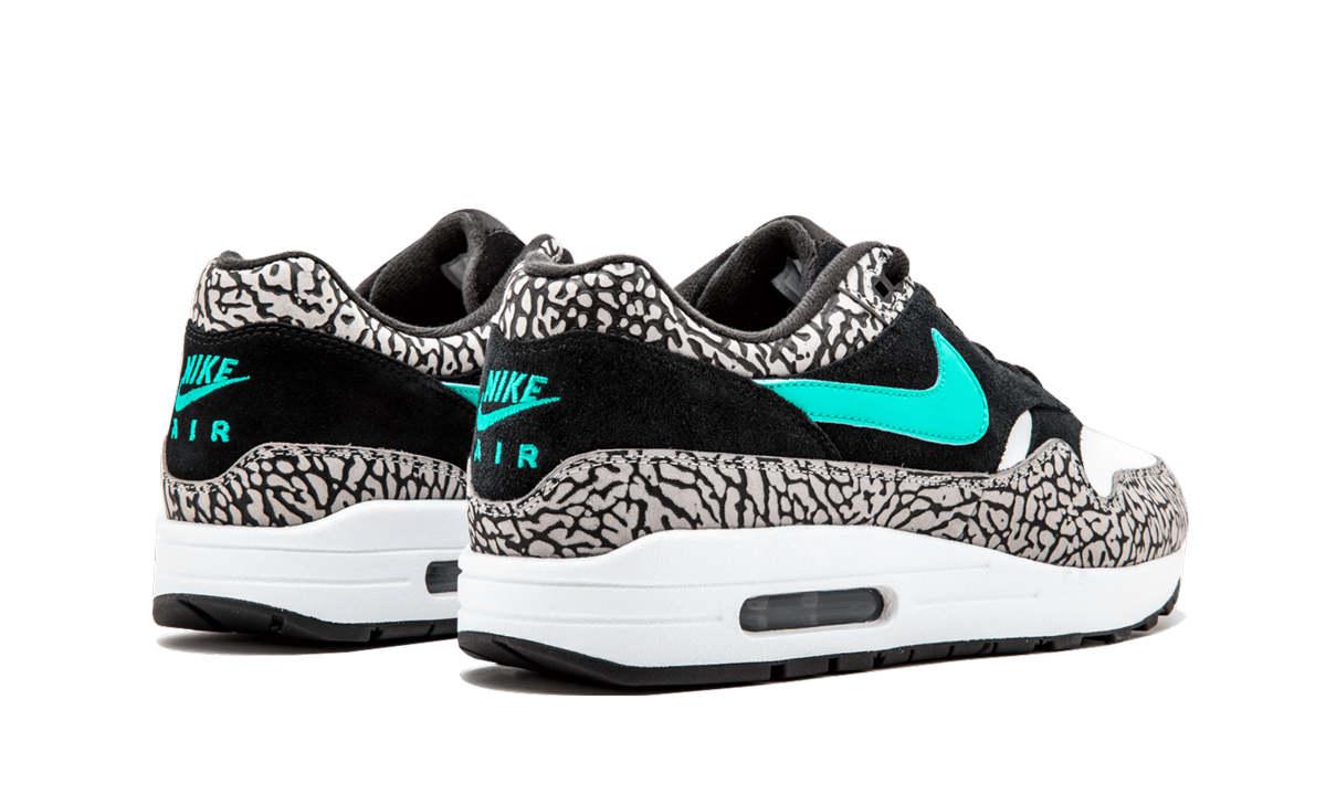 Overkicks - Air Jordan 3 Retro & Nike Air Max 1 atmos Pack (923098-900) - detalle
