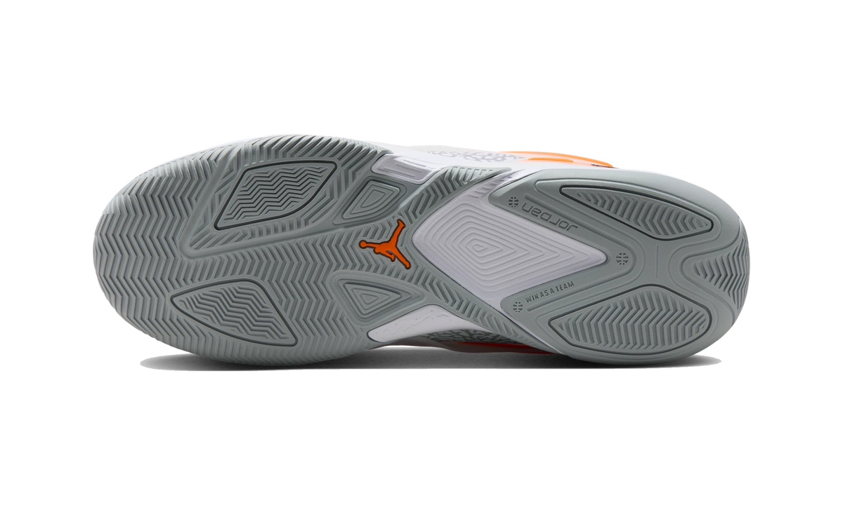 Overkicks - Air Jordan Heir Elephant Print (IO0409-108) - par completo