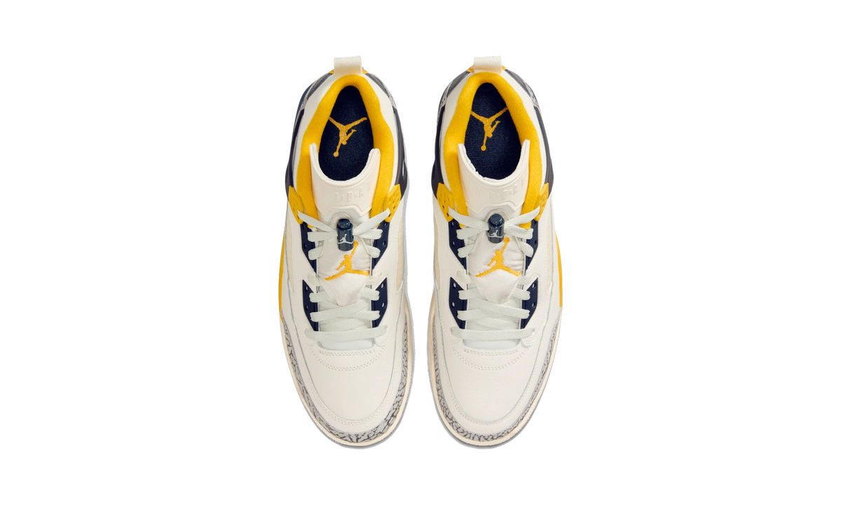 Overkicks - Air Jordan Spizike Low Michigan (FQ1759-111) - vista superior