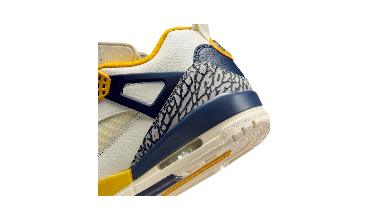 Overkicks - Air Jordan Spizike Low Michigan (FQ1759-111) - detalle