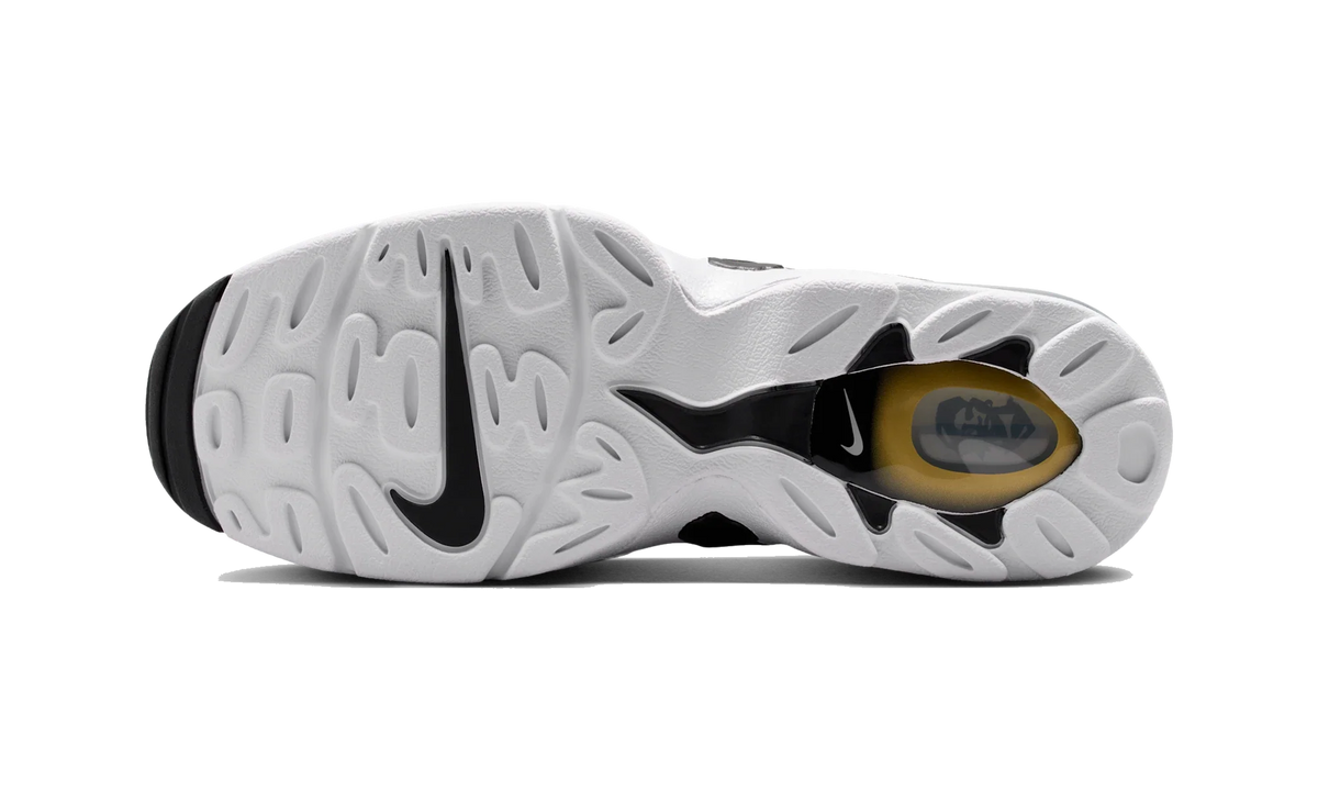 Overkicks - Nike Air DT Max 96 Low Black Metallic Gold (IF5478-001) - par completo