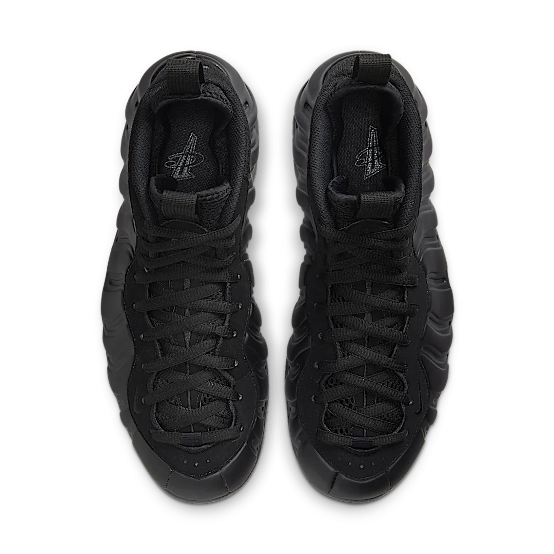 Overkicks - Nike Air Foamposite One Anthracite 2023 (FD5855-001) - par completo